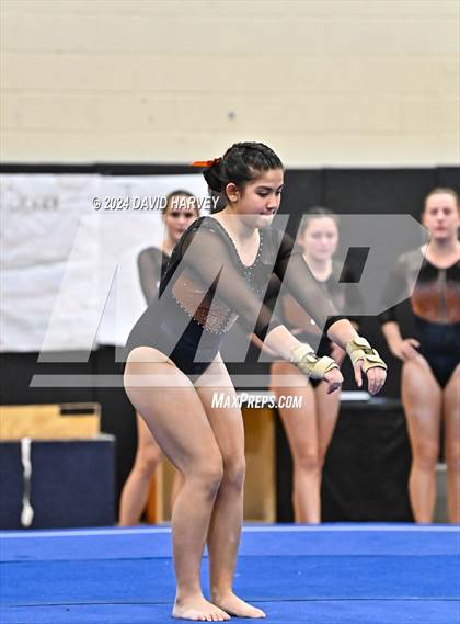 Thumbnail 3 in Lakewood Gymnastics photogallery.