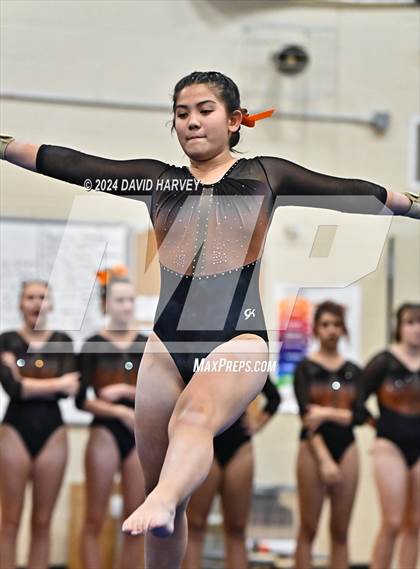 Thumbnail 2 in Lakewood Gymnastics photogallery.