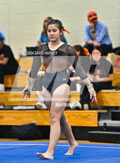 Thumbnail 3 in Lakewood Gymnastics photogallery.