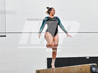 Thumbnail 1 in Lakewood Gymnastics photogallery.