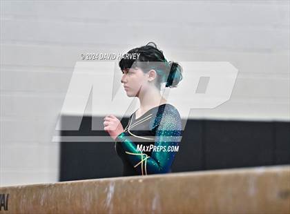Thumbnail 2 in Lakewood Gymnastics photogallery.