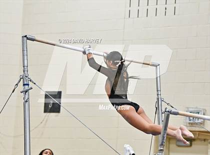 Thumbnail 3 in Lakewood Gymnastics photogallery.