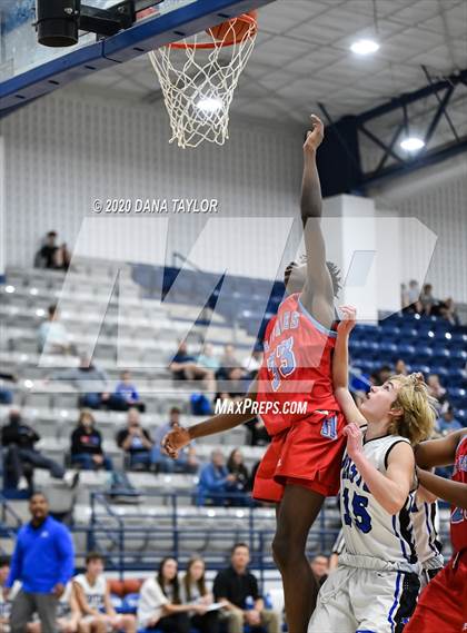 Thumbnail 3 in Hirschi @ Peaster photogallery.