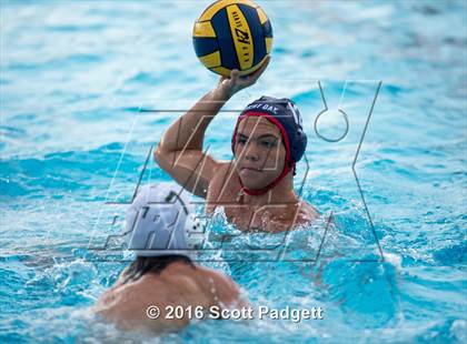 Thumbnail 2 in Patrick Henry @ Great Oak photogallery.