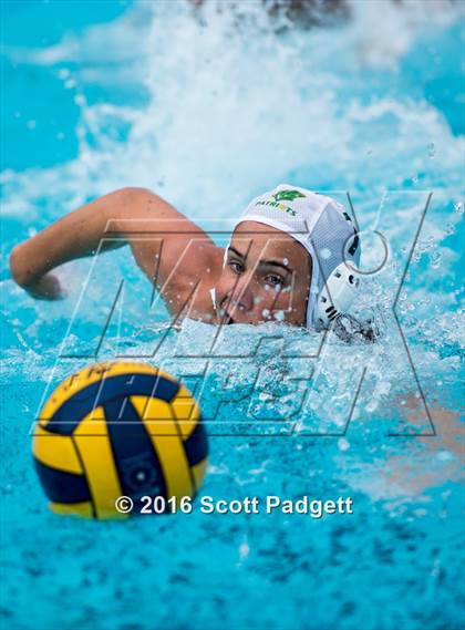 Thumbnail 3 in Patrick Henry @ Great Oak photogallery.