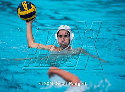 Thumbnail 2 in Patrick Henry @ Great Oak photogallery.