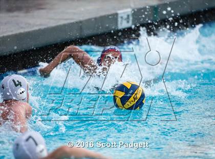 Thumbnail 2 in Patrick Henry @ Great Oak photogallery.