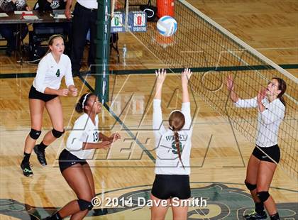 Thumbnail 3 in Hamilton @ Zeeland West photogallery.