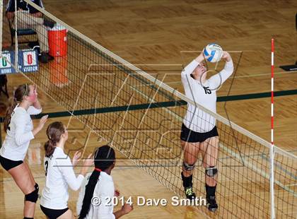 Thumbnail 1 in Hamilton @ Zeeland West photogallery.