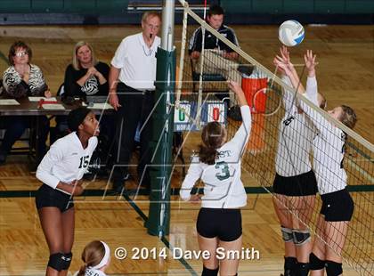 Thumbnail 3 in Hamilton @ Zeeland West photogallery.