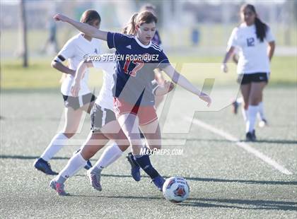 Thumbnail 3 in Pacheco @ Beyer photogallery.