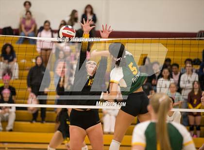 Thumbnail 3 in Putnam @ Milwaukie/Milwaukie Academy of the Arts (Senior Night) photogallery.