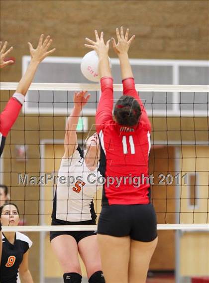 Thumbnail 3 in Roseville @ Antelope photogallery.