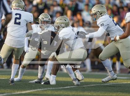 Thumbnail 3 in Notre Dame (SO) @ Crespi photogallery.