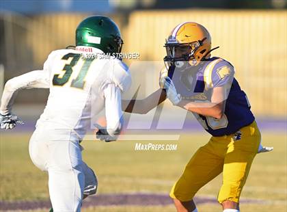 Thumbnail 1 in Sonora @ Escalon photogallery.