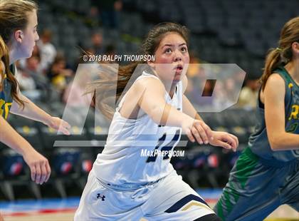 Thumbnail 1 in Rio Americano vs. Elk Grove (@ Golden 1) photogallery.