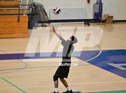 Thumbnail 2 in Olympian @ Eastlake photogallery.