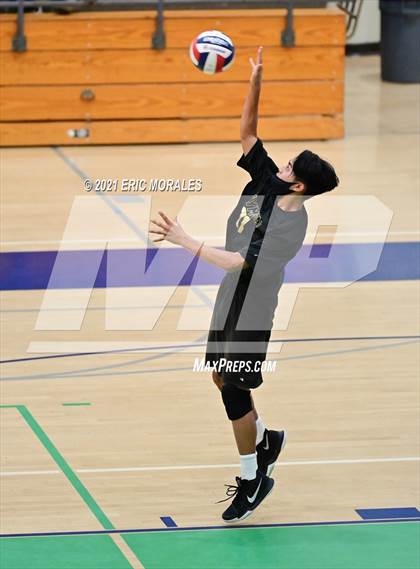 Thumbnail 2 in Olympian @ Eastlake photogallery.