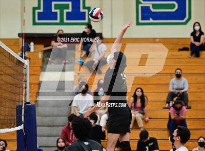 Thumbnail 3 in Olympian @ Eastlake photogallery.