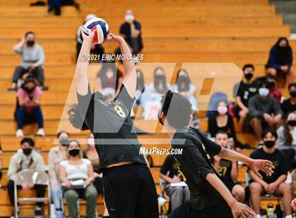 Thumbnail 2 in Olympian @ Eastlake photogallery.