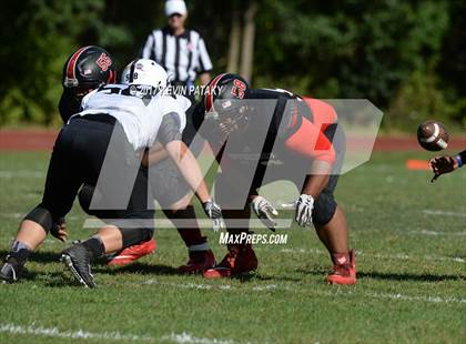 Thumbnail 3 in Xavier @ Wilbur Cross photogallery.