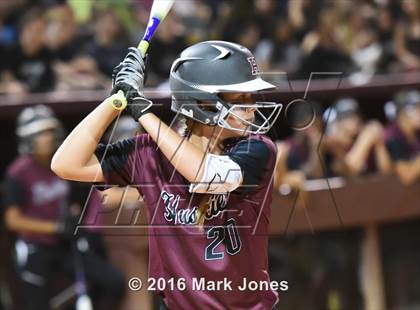 Thumbnail 1 in Hamilton vs. Pinnacle (AIA D1 Final) photogallery.