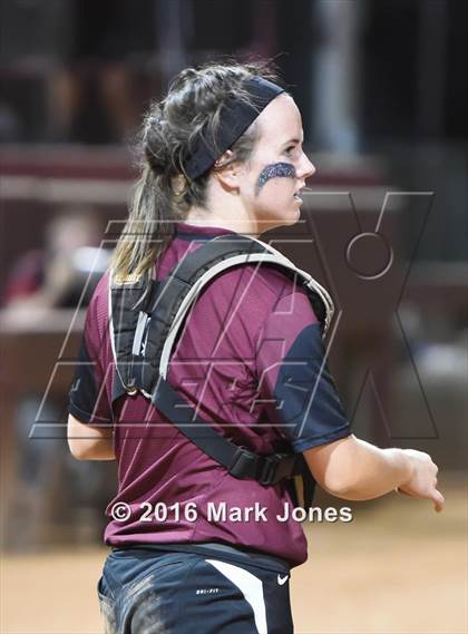 Thumbnail 3 in Hamilton vs. Pinnacle (AIA D1 Final) photogallery.