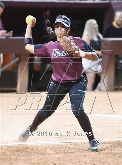 Thumbnail 1 in Hamilton vs. Pinnacle (AIA D1 Final) photogallery.