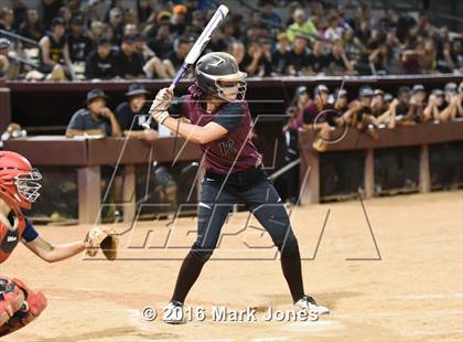 Thumbnail 2 in Hamilton vs. Pinnacle (AIA D1 Final) photogallery.