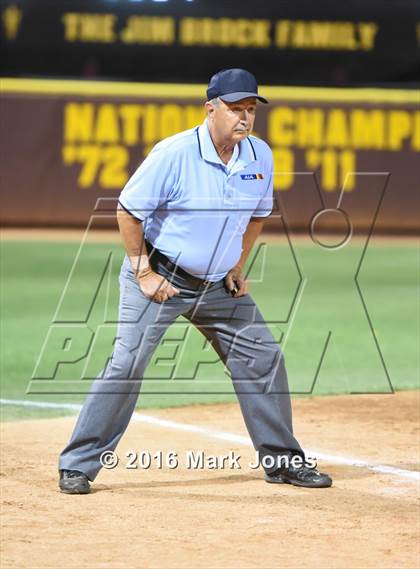Thumbnail 1 in Hamilton vs. Pinnacle (AIA D1 Final) photogallery.