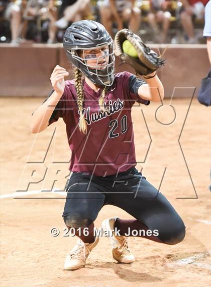 Thumbnail 2 in Hamilton vs. Pinnacle (AIA D1 Final) photogallery.