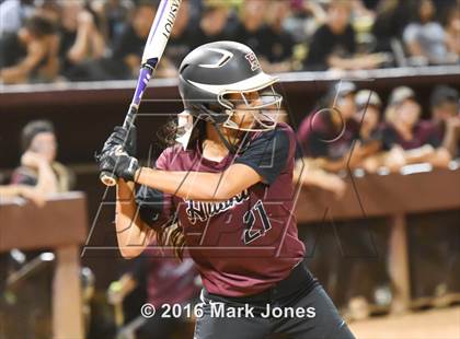 Thumbnail 3 in Hamilton vs. Pinnacle (AIA D1 Final) photogallery.