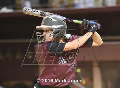 Thumbnail 3 in Hamilton vs. Pinnacle (AIA D1 Final) photogallery.