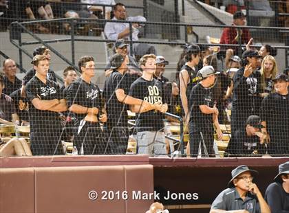 Thumbnail 1 in Hamilton vs. Pinnacle (AIA D1 Final) photogallery.