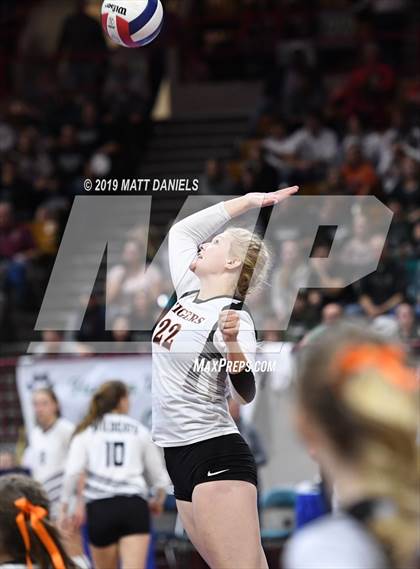 Thumbnail 1 in Denver Christian vs. Wiggins (CHSAA 2A Semifinal) photogallery.