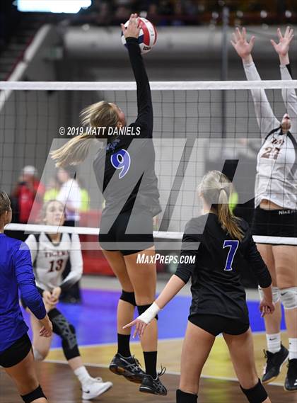 Thumbnail 3 in Denver Christian vs. Wiggins (CHSAA 2A Semifinal) photogallery.