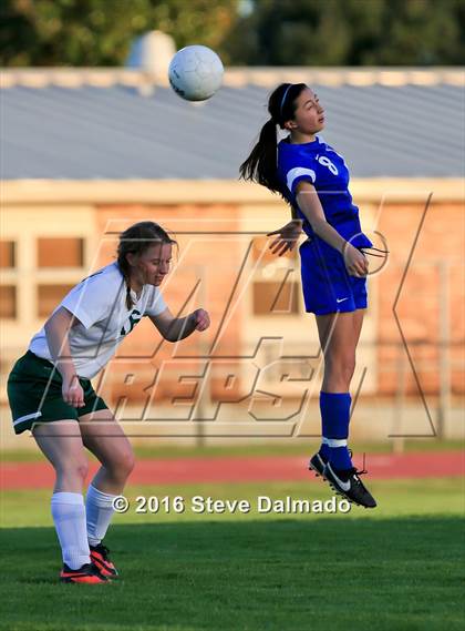 Thumbnail 3 in Metairie Park Country Day vs Archbishop Chapelle (Muss Bertolino) photogallery.