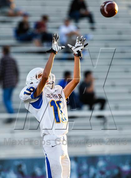 Thumbnail 2 in Serra @ Bellarmine photogallery.