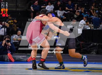 Thumbnail 2 in CIF State Boys Wrestling Championships (Semifinals) photogallery.