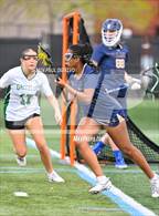 Photo from the gallery "Palmer Ridge @ ThunderRidge"