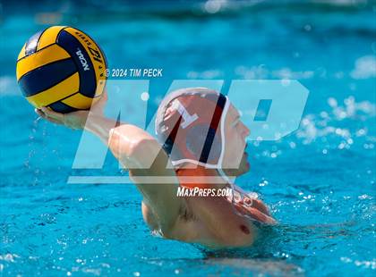 Thumbnail 2 in Villa Park @ Pacifica photogallery.
