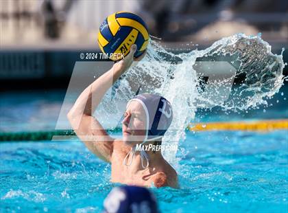 Thumbnail 2 in Villa Park @ Pacifica photogallery.