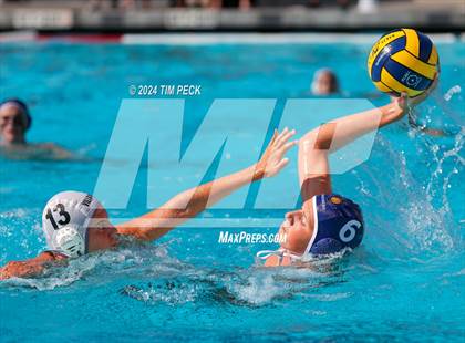 Thumbnail 3 in Villa Park @ Pacifica photogallery.