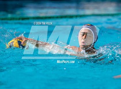 Thumbnail 2 in Villa Park @ Pacifica photogallery.