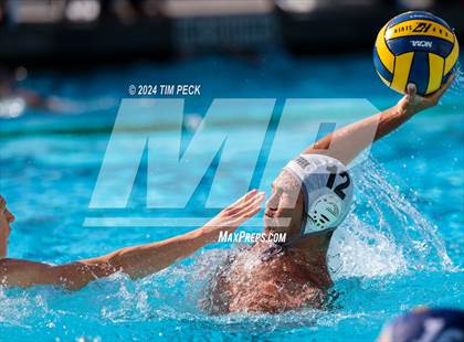 Thumbnail 2 in Villa Park @ Pacifica photogallery.