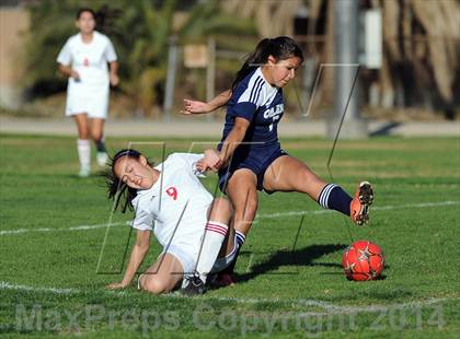 Thumbnail 3 in Montebello @ Mark Keppel photogallery.