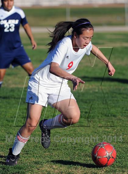 Thumbnail 3 in Montebello @ Mark Keppel photogallery.