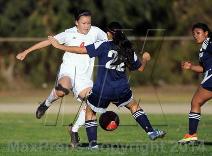 Thumbnail 1 in Montebello @ Mark Keppel photogallery.