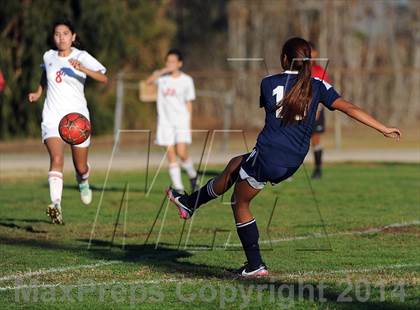Thumbnail 3 in Montebello @ Mark Keppel photogallery.