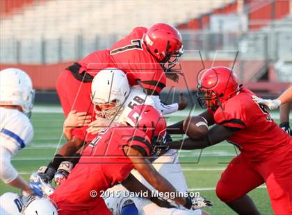 Thumbnail 3 in Midlothian @ Cedar Hill photogallery.